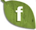Delanies Facebook